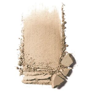 Clinique Stay - Matte Translucent Mattifying Powder for Combination to Oily Skin 7.6g (0.24 oz) - FrenchBeautyHub